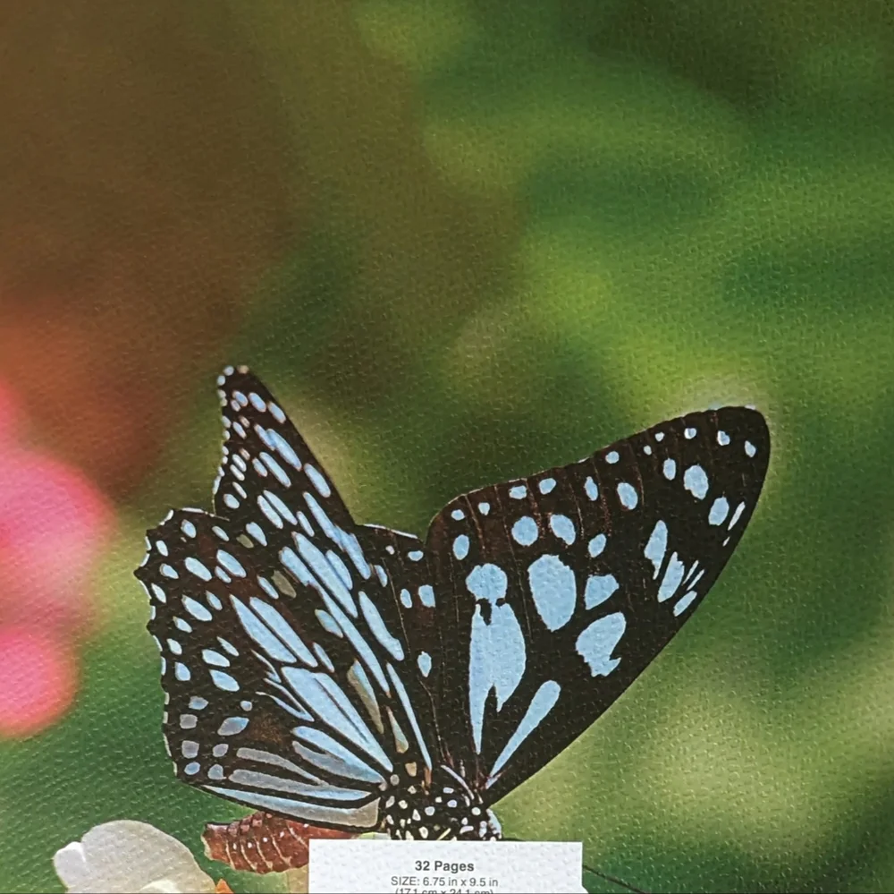 2026 Calendar BUTTERFLIES 16 Month Hanging Wall 11